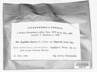 Image Associated With the Occurence
